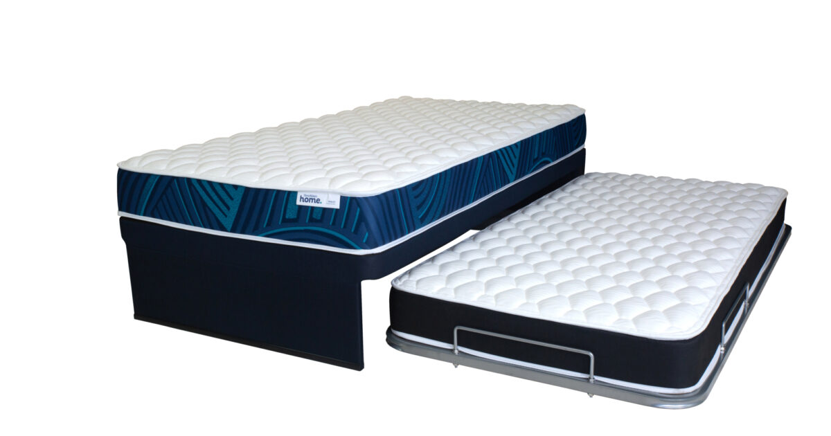 Kiwi king single trundle bed by englander discount